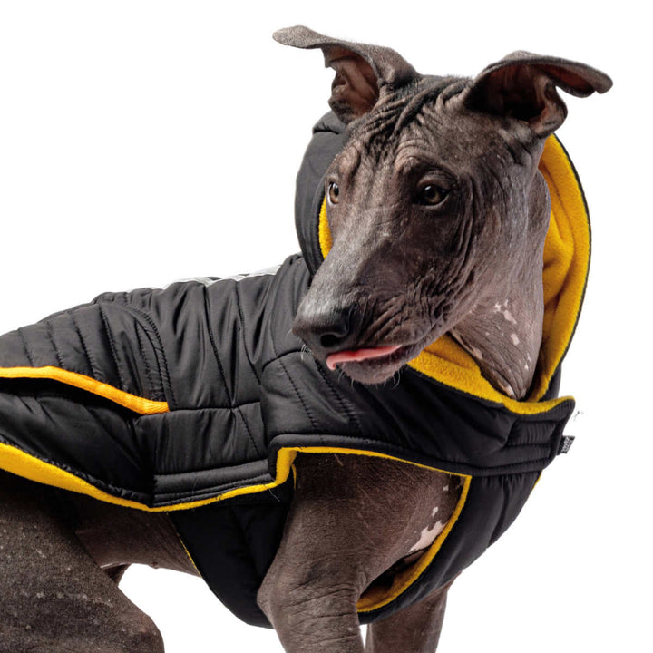 Silver Paw Reflective Dog Vest