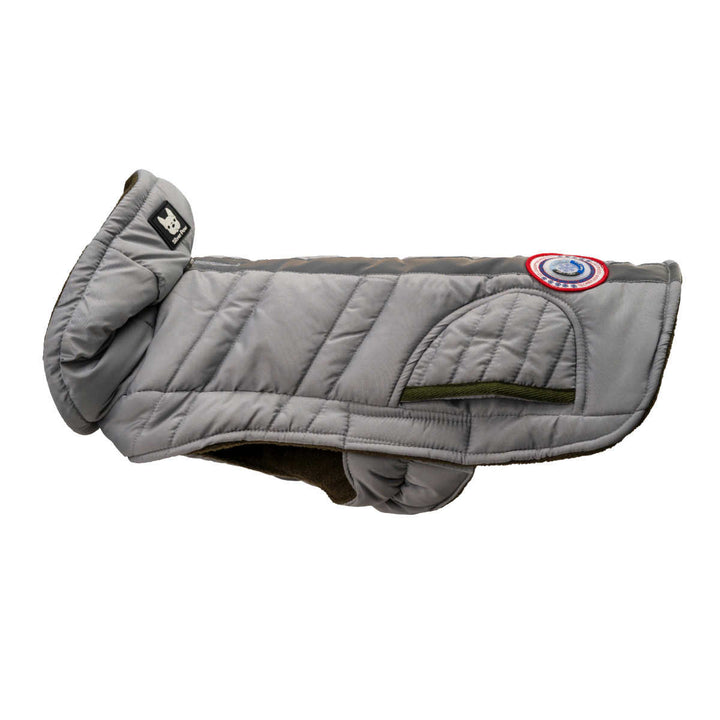 Silver Paw Reflective Dog Vest