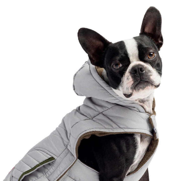 Silver Paw Reflective Dog Vest