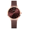 Bering Brown Dial Watch