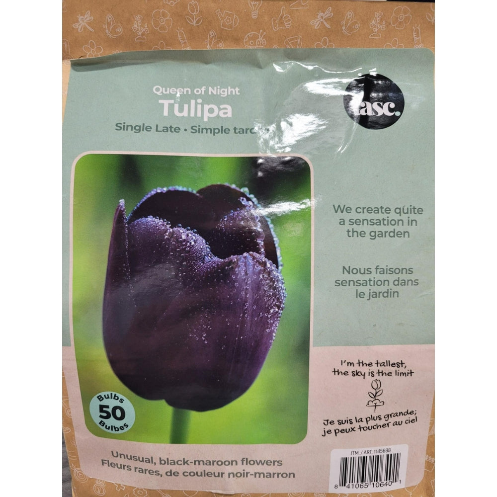 Tasc Assorted Flower Bulbs