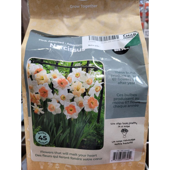 Tasc Assorted Flower Bulbs