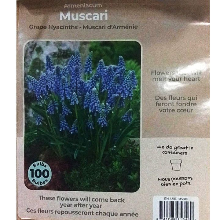 Tasc Assorted Flower Bulbs