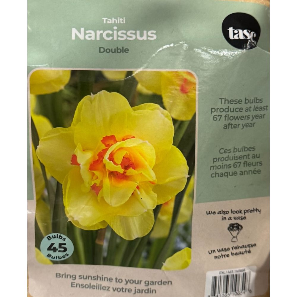 Tasc Assorted Flower Bulbs