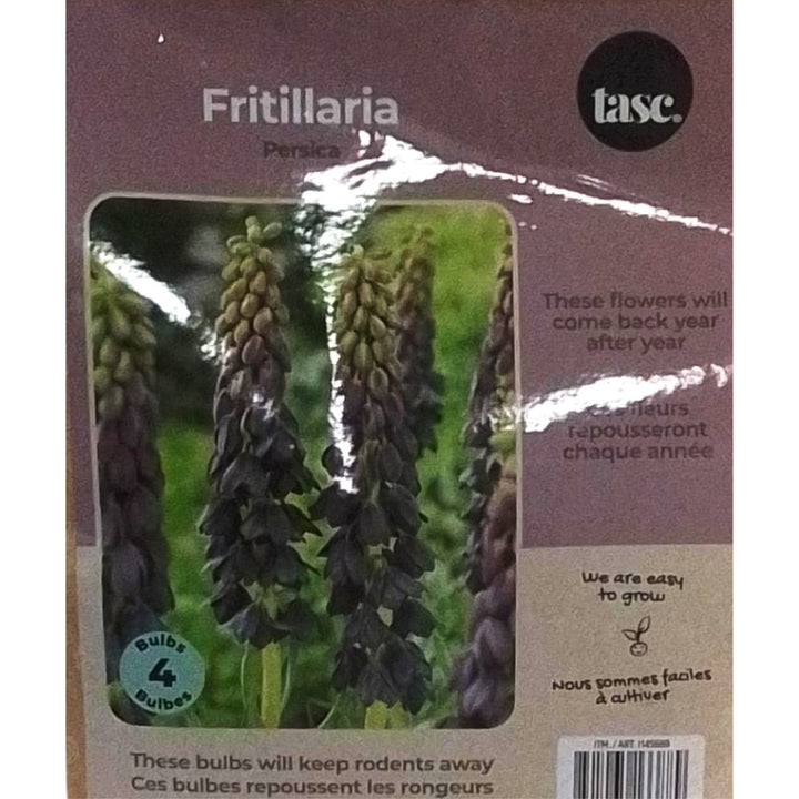 Tasc Assorted Flower Bulbs