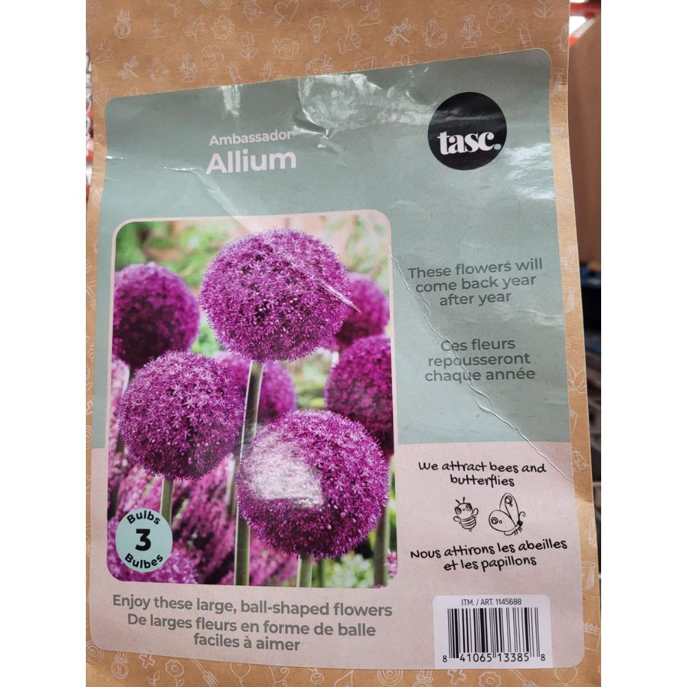 Tasc Assorted Flower Bulbs