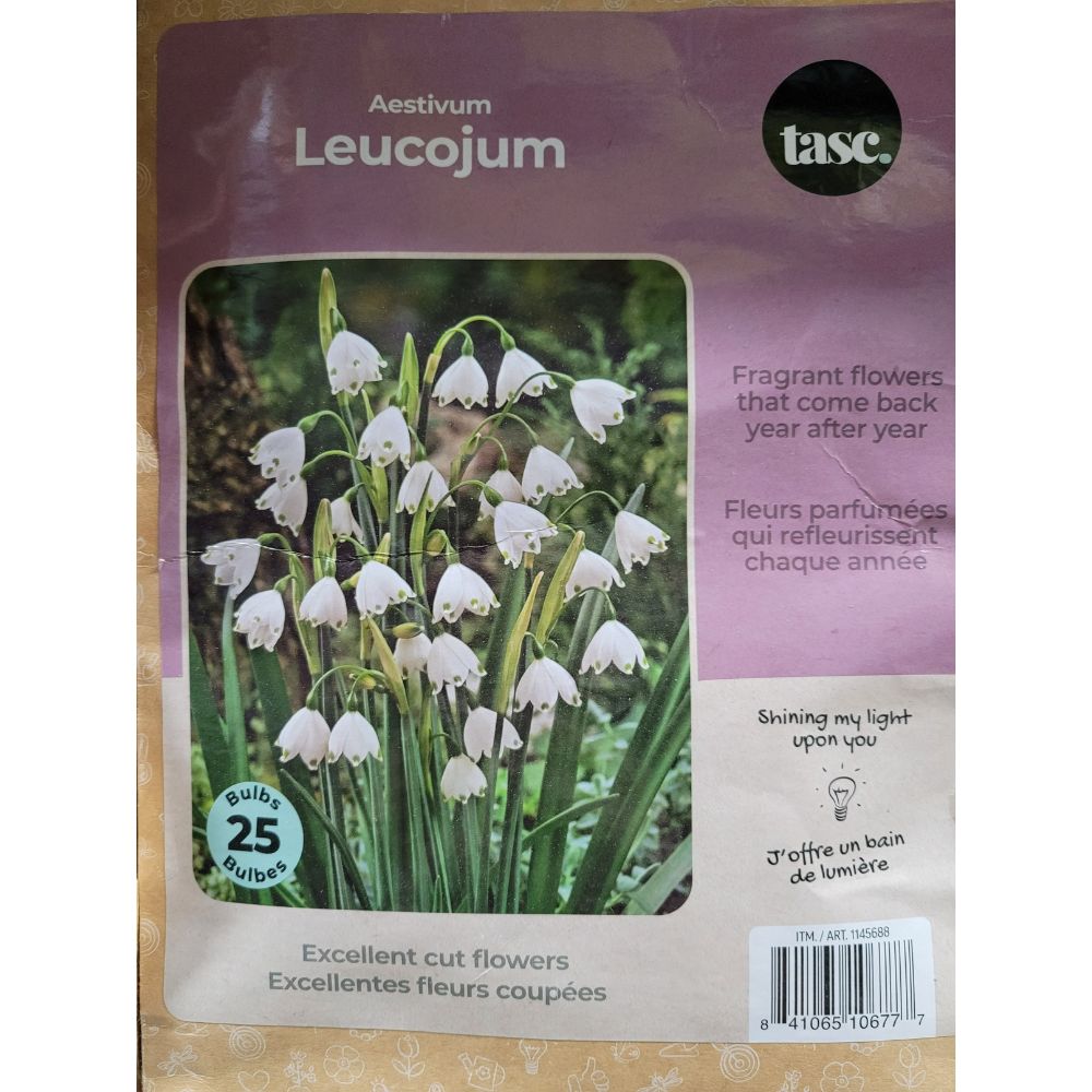 Tasc Assorted Flower Bulbs