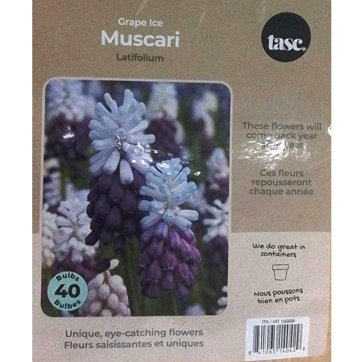 Tasc Assorted Flower Bulbs