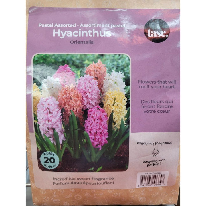 Tasc Assorted Flower Bulbs
