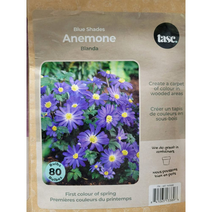 Tasc Assorted Flower Bulbs