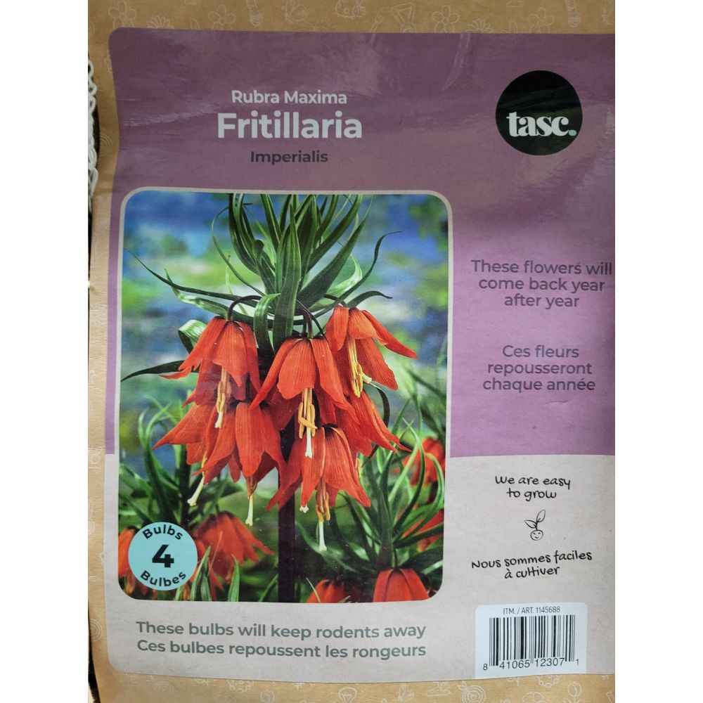 Tasc Assorted Flower Bulbs