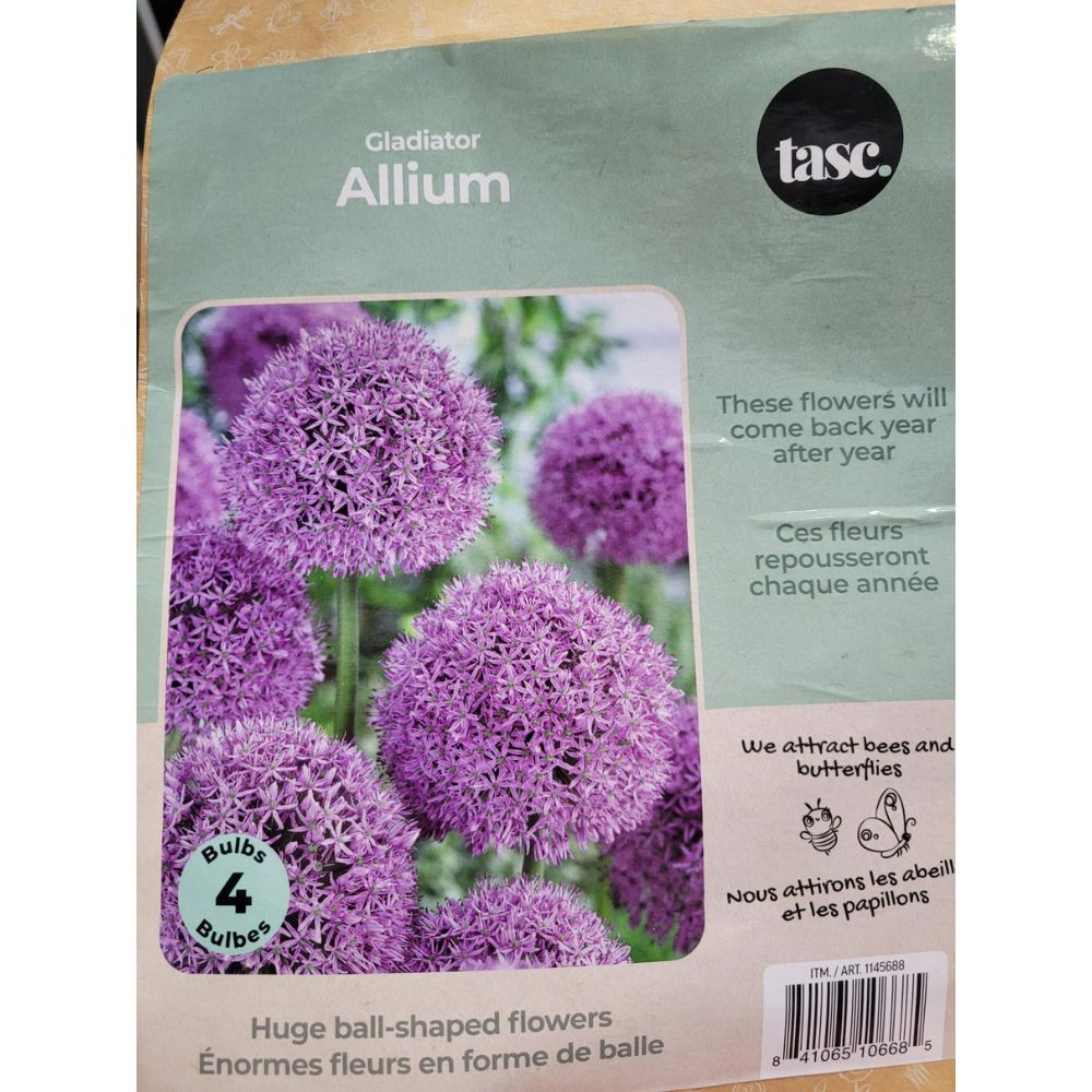 Tasc Assorted Flower Bulbs