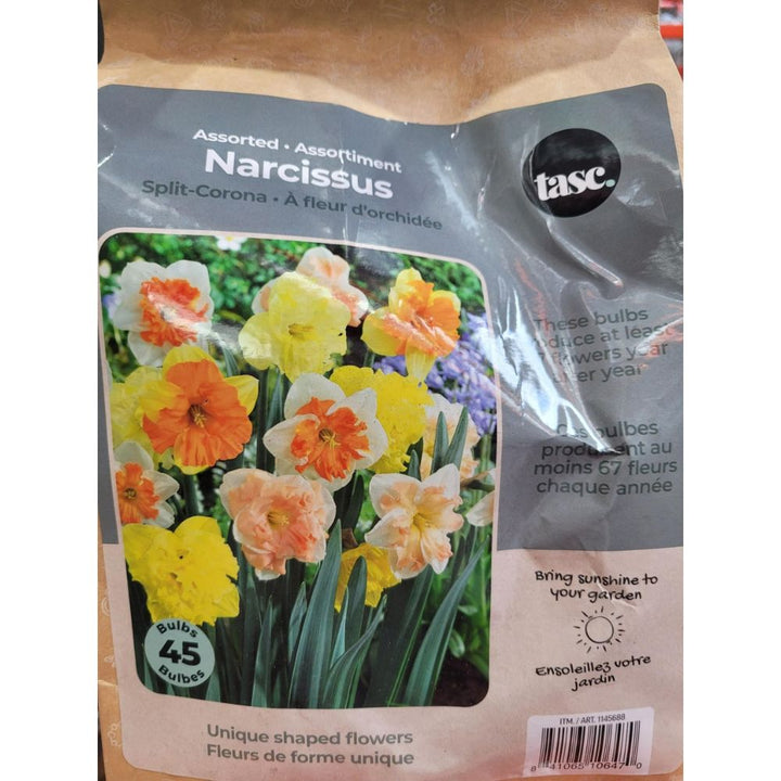 Tasc Assorted Flower Bulbs