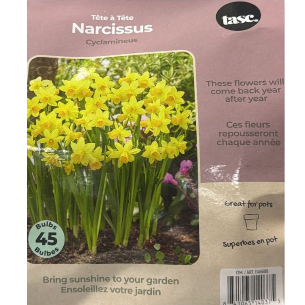 Tasc Assorted Flower Bulbs