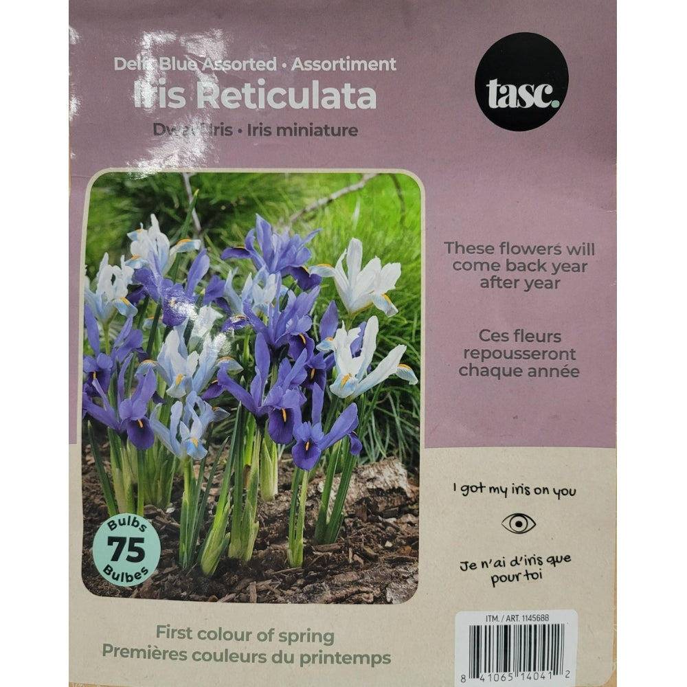 Tasc Assorted Flower Bulbs