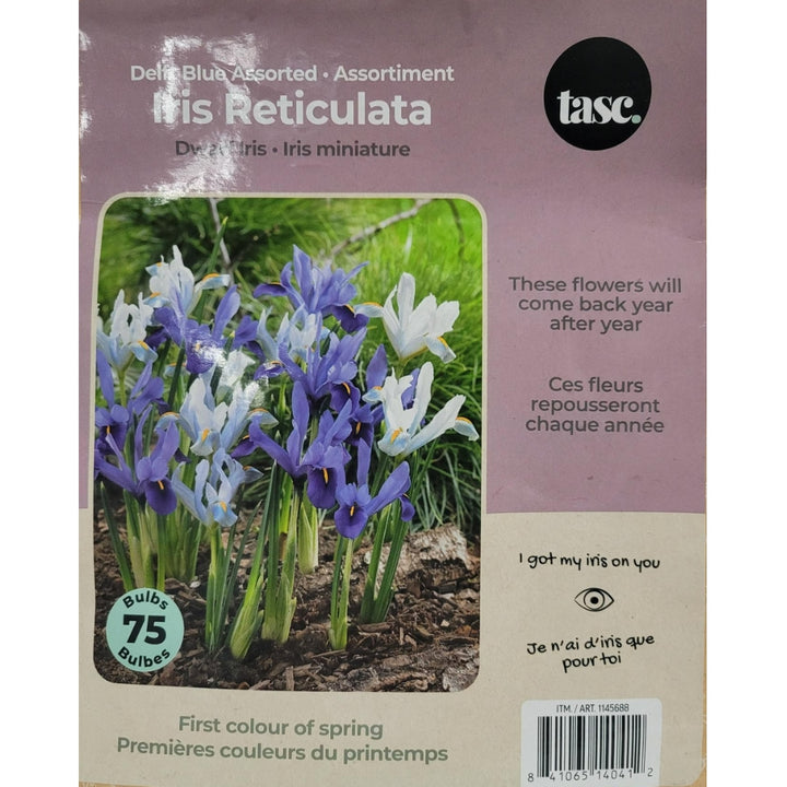 Tasc Assorted Flower Bulbs