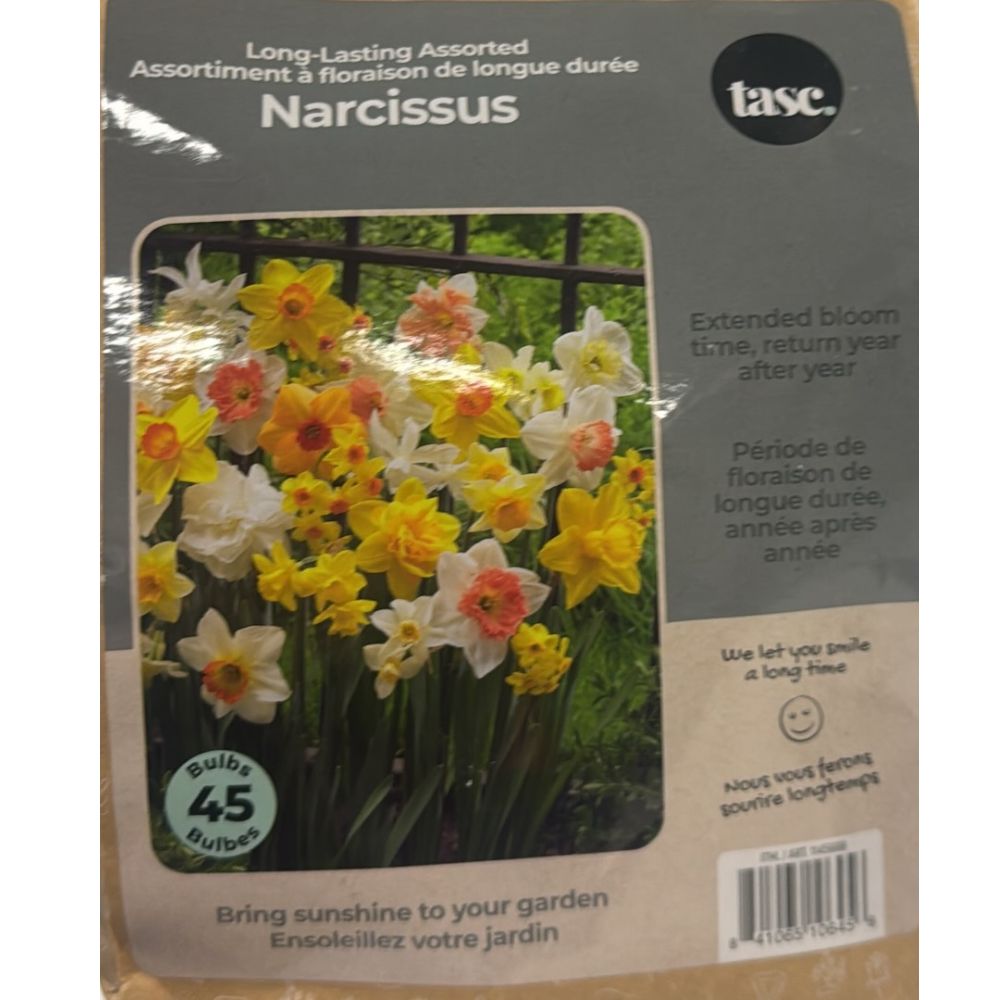 Tasc Assorted Flower Bulbs
