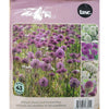 Tasc Assorted Flower Bulbs