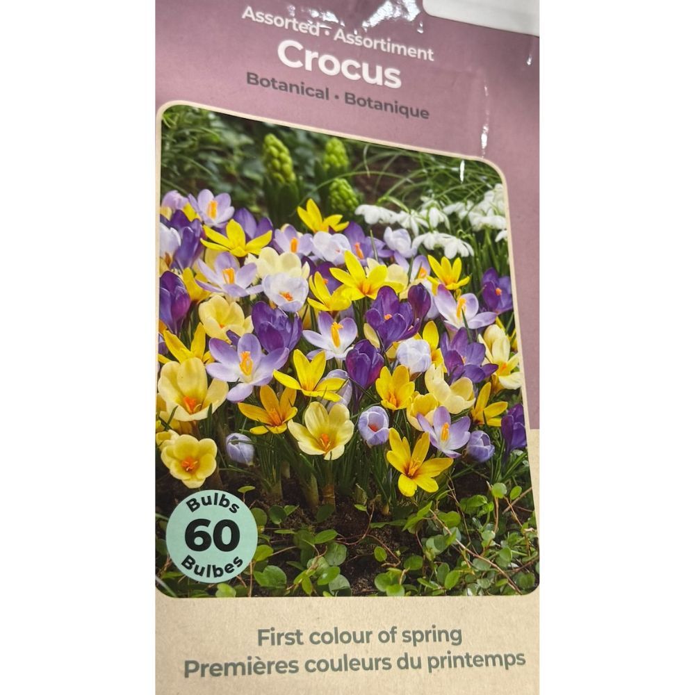 Tasc Assorted Flower Bulbs
