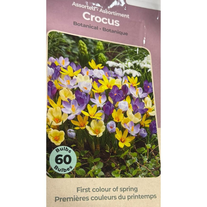 Tasc Assorted Flower Bulbs