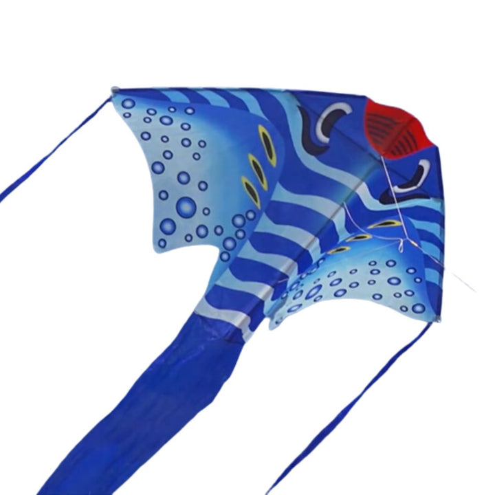 SkyTails 2D and 3D Kites