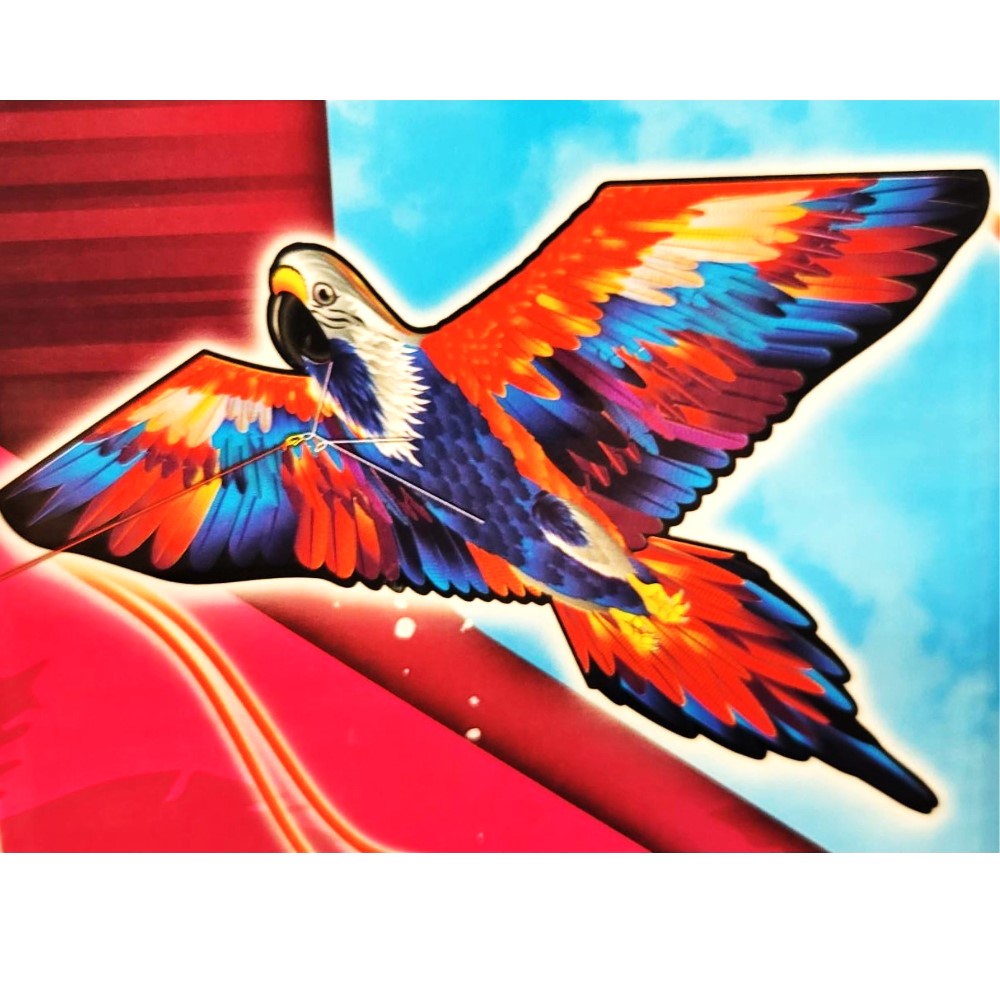 SkyTails 2D and 3D Kites