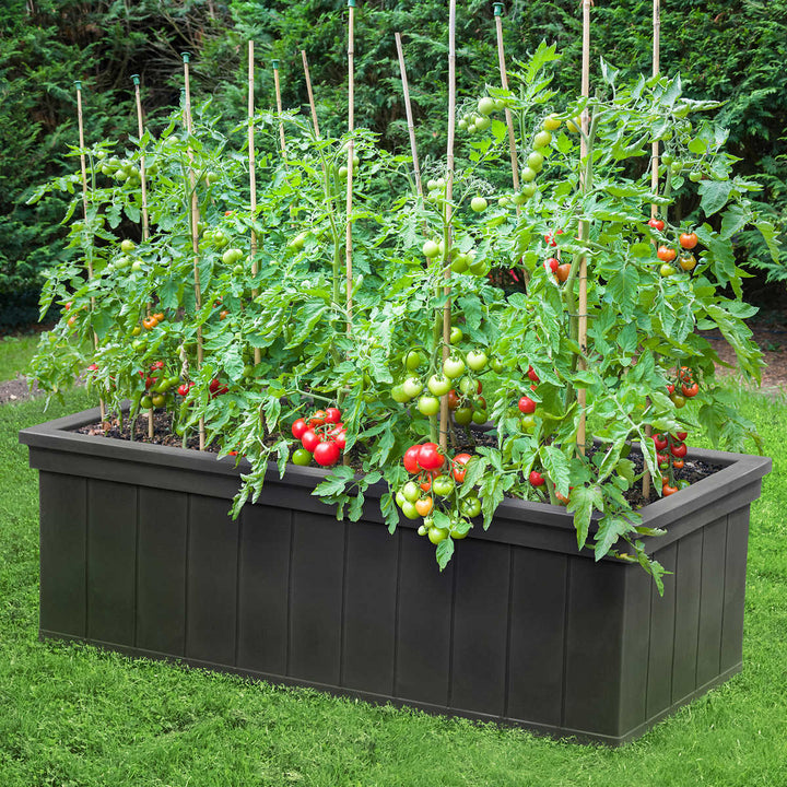 Liberty - Raised and Self-Watering Planter