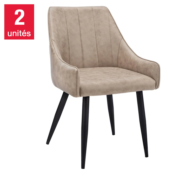 Ari Modern Dining Chair - 2-Pack