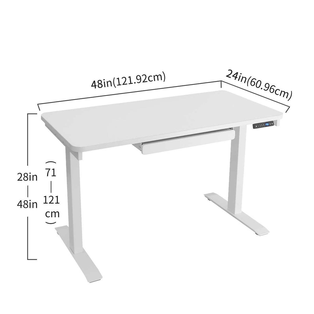 Motionwise Adjustable Electric Desk