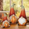 Garden Gnome - 3-Pack