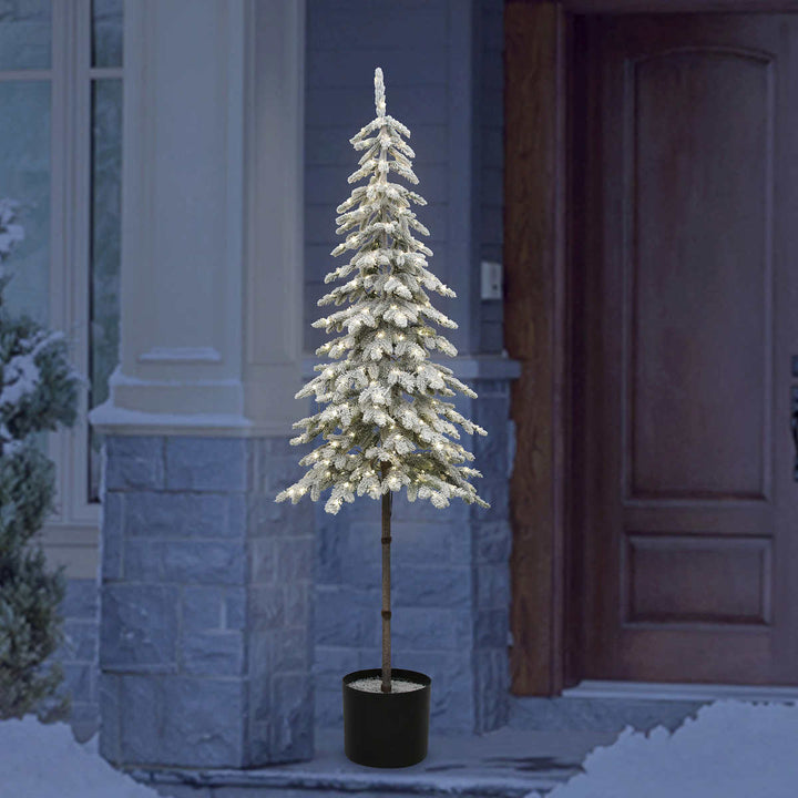 Potted Flocked Alpine Tree with Lights - 1.8 m (6 ft)