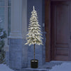 Potted Flocked Alpine Tree with Lights