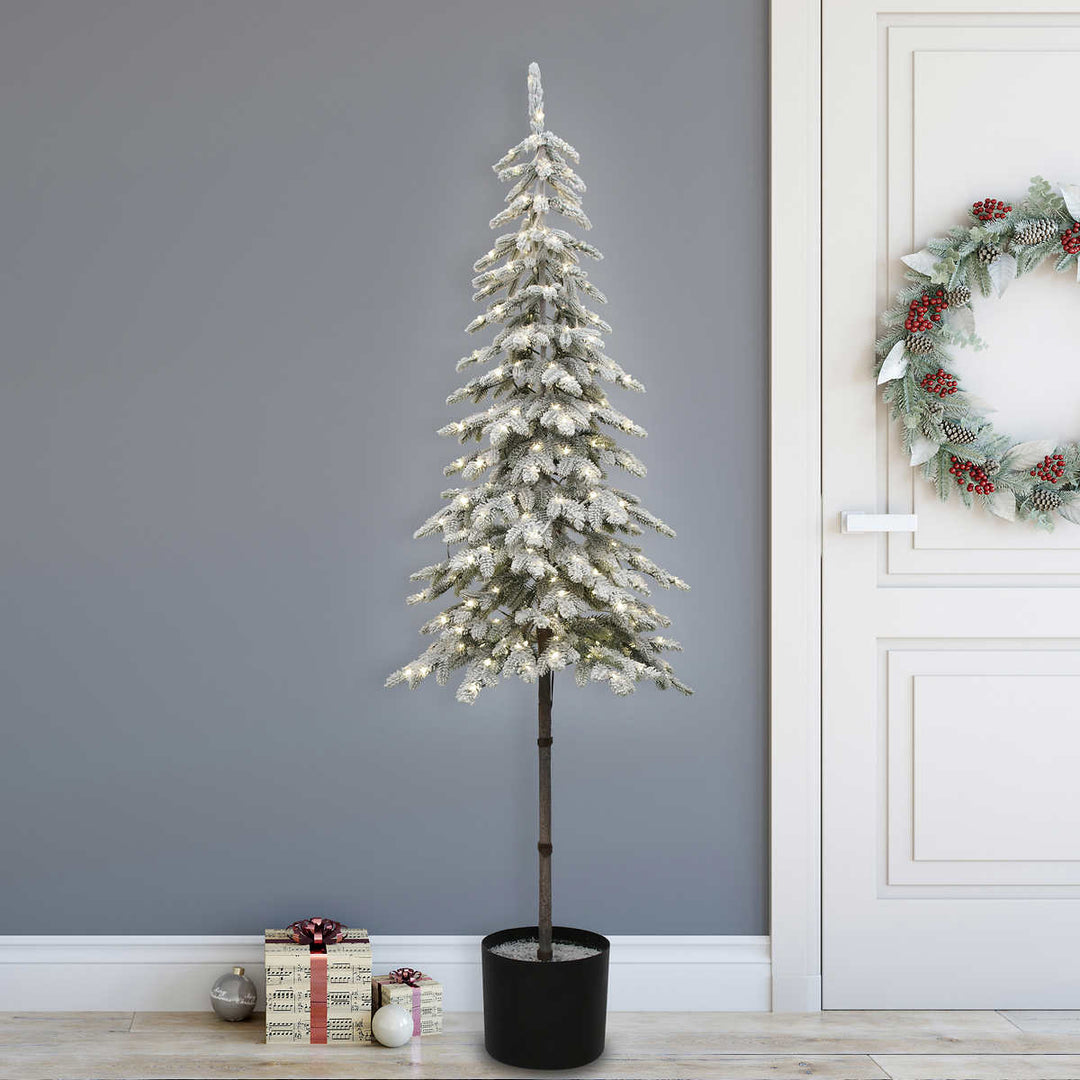 Potted Flocked Alpine Tree with Lights - 1.8 m (6 ft)