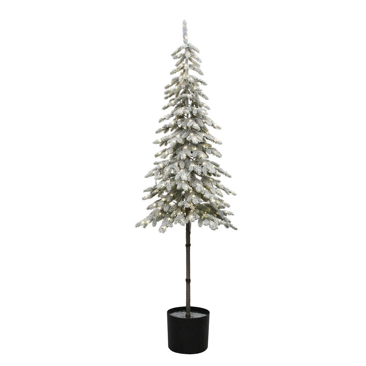 Potted Flocked Alpine Tree with Lights - 1.8 m (6 ft)