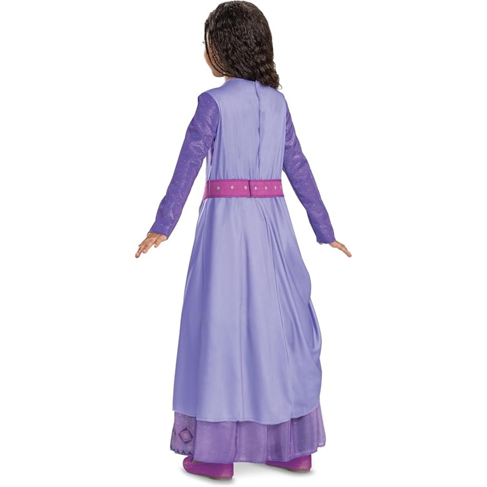 Disney Asha Costume
