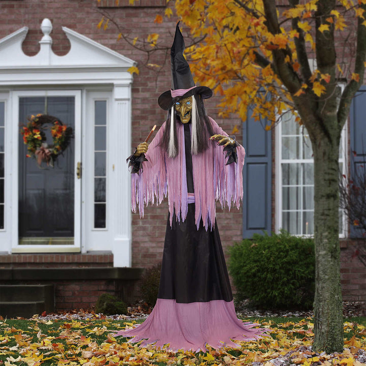 Seasonal Visions - Animated Witch for Halloween