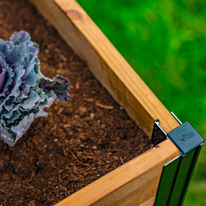 Vita Mezza 6' x 6' Composting Garden