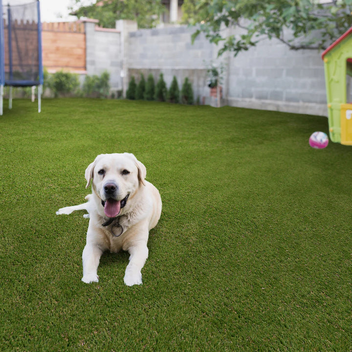 Golden Select Artificial Grass