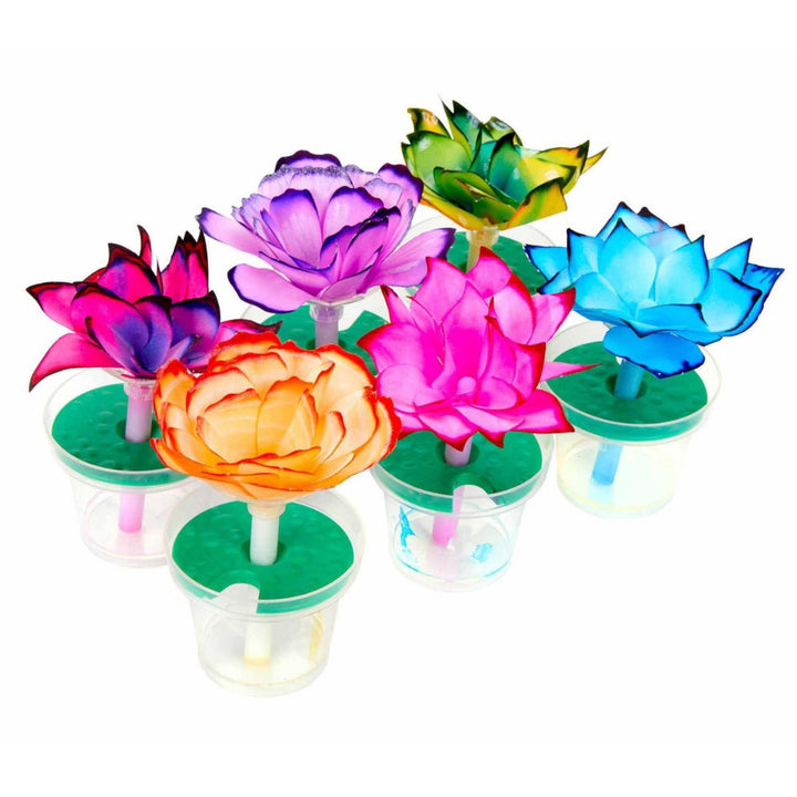 Crayola Paper Flowers and Butterflies Assortment Science Kit