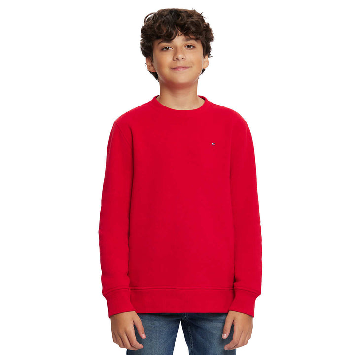 Tommy Hilfiger Sweatshirt