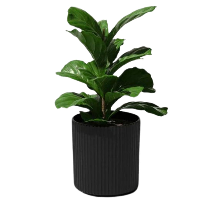Veradek Round Plastic Planter