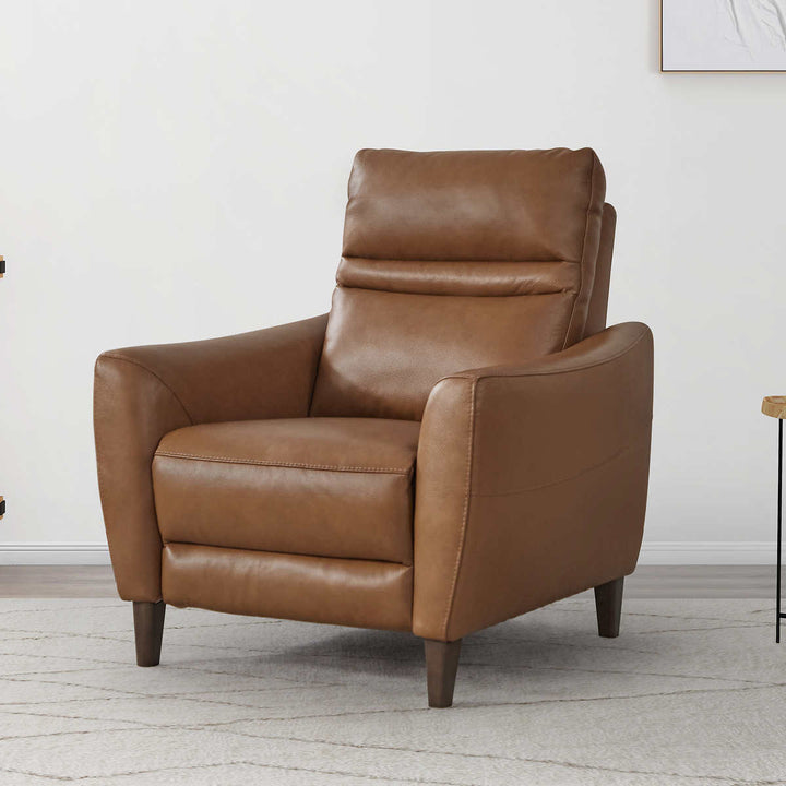 Aiden & Ivy Leather Power Recliner