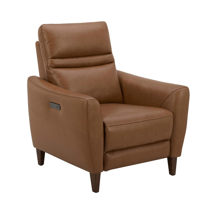 Aiden & Ivy Leather Power Recliner