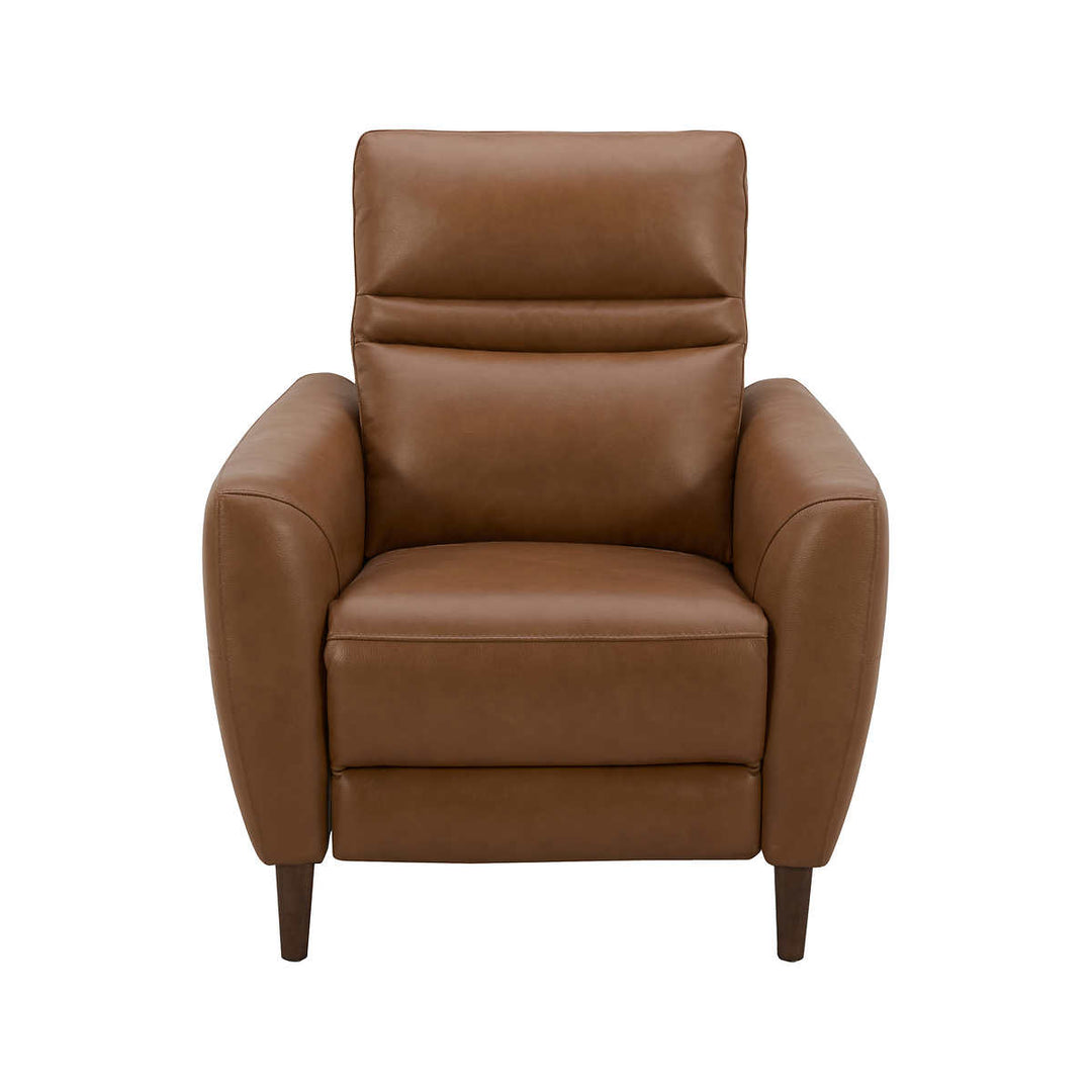 Aiden & Ivy Leather Power Recliner