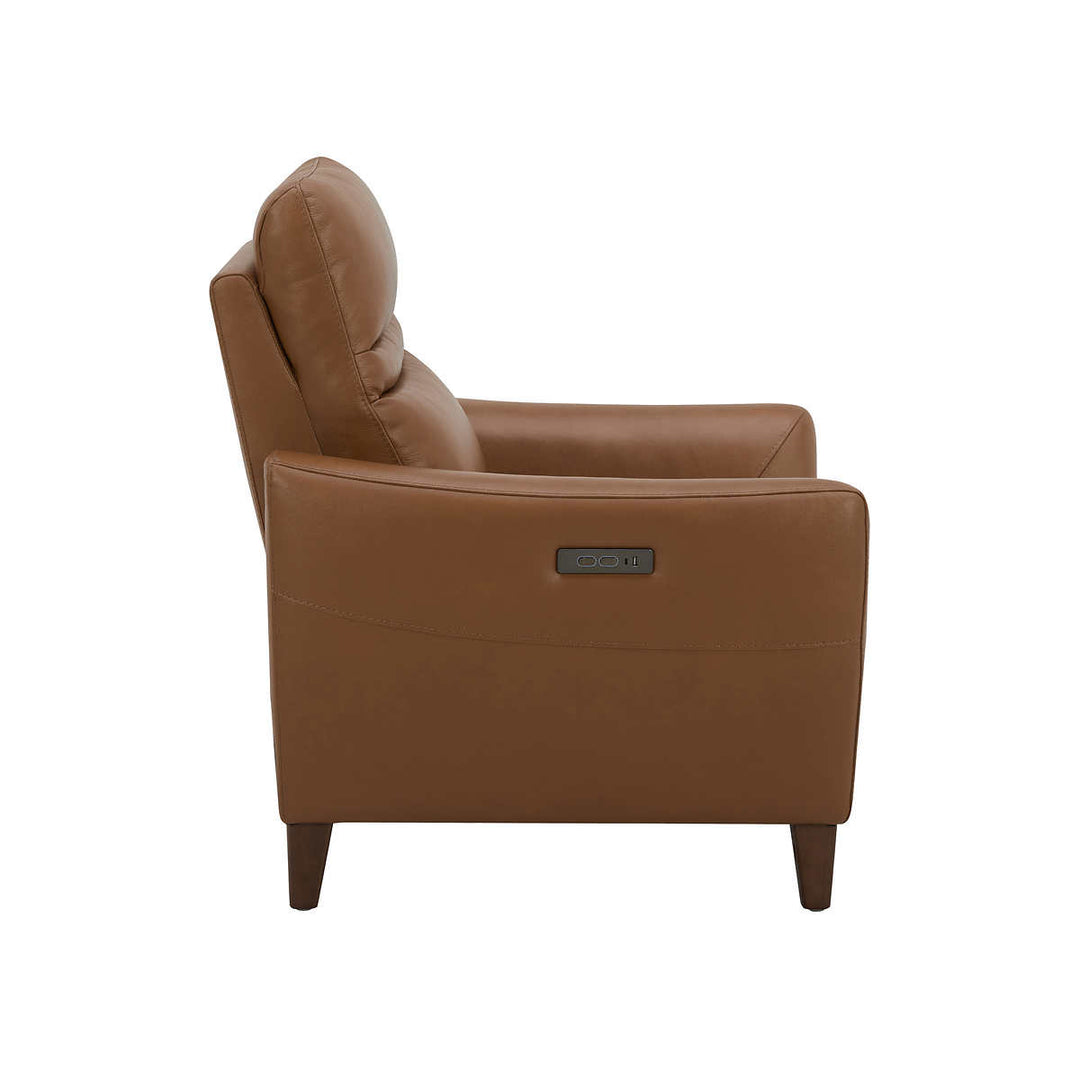 Aiden & Ivy Leather Power Recliner