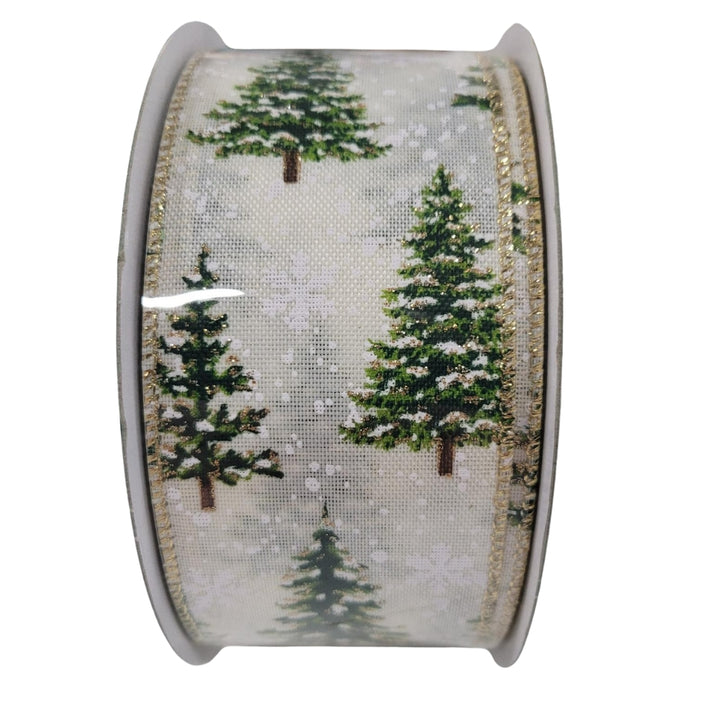 Kirkland Signature Wire-Edged Ribbon