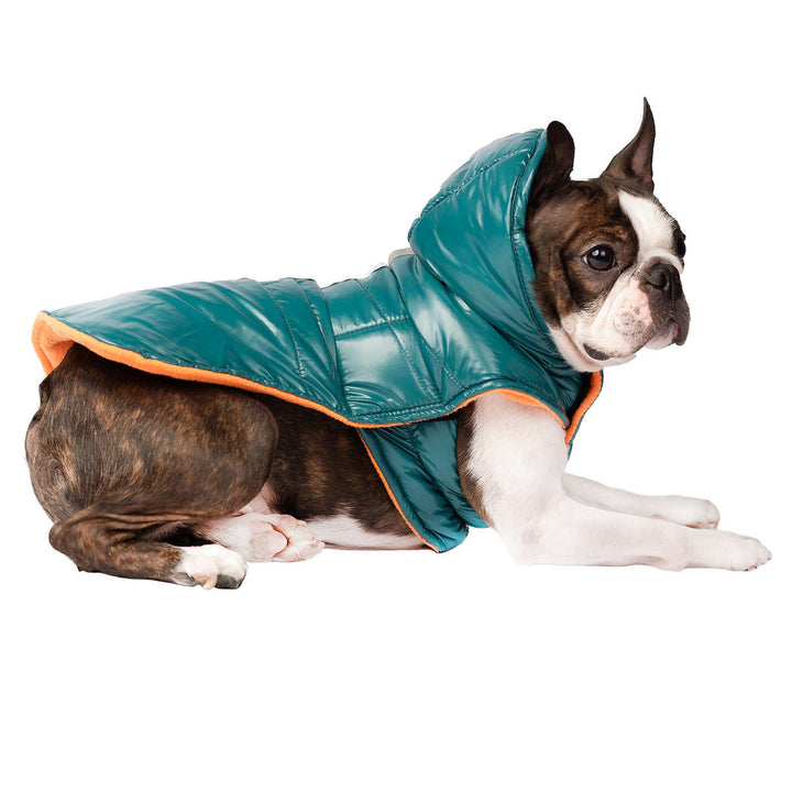 South Paw Jackson Dog Jacket