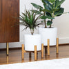 Mullally - Ceramic Planters with Bamboo Stands