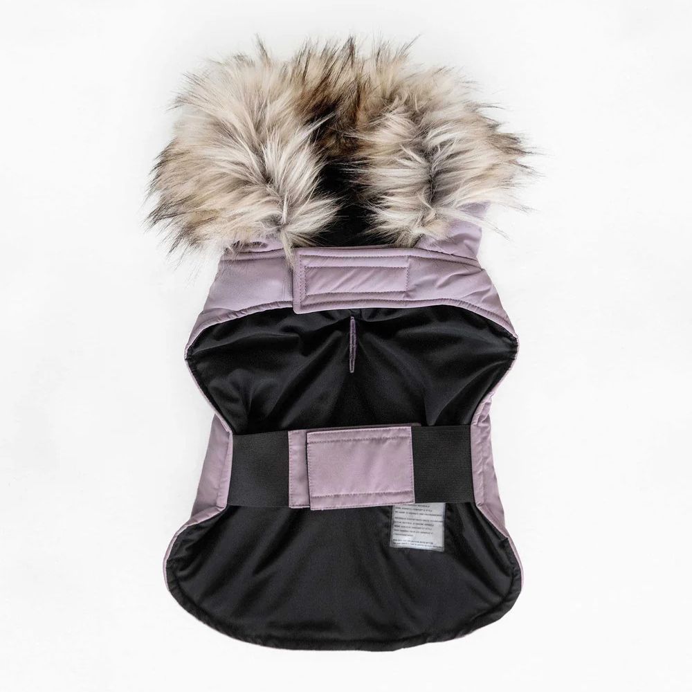 Karter Dog Coat