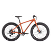 Northrock - XCF Fat Tire Bike